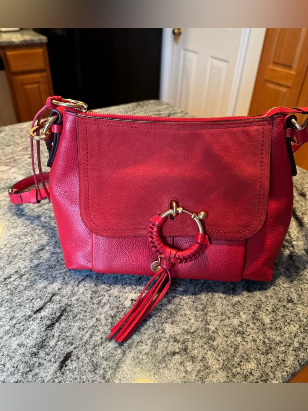 See By Chloe Red Leather Shoulder Bag with Braided Ring - Picture 2 of 8